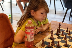 450453645_294487763684958_7436251850672101047_n