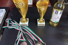 451064023_4553228428235927_5277828532876981623_n