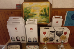 Twickel-Kupa-Rapid-es-Villamverseny-05