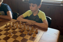 24